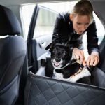 Comment choisir un couchage pour chien en voiture 